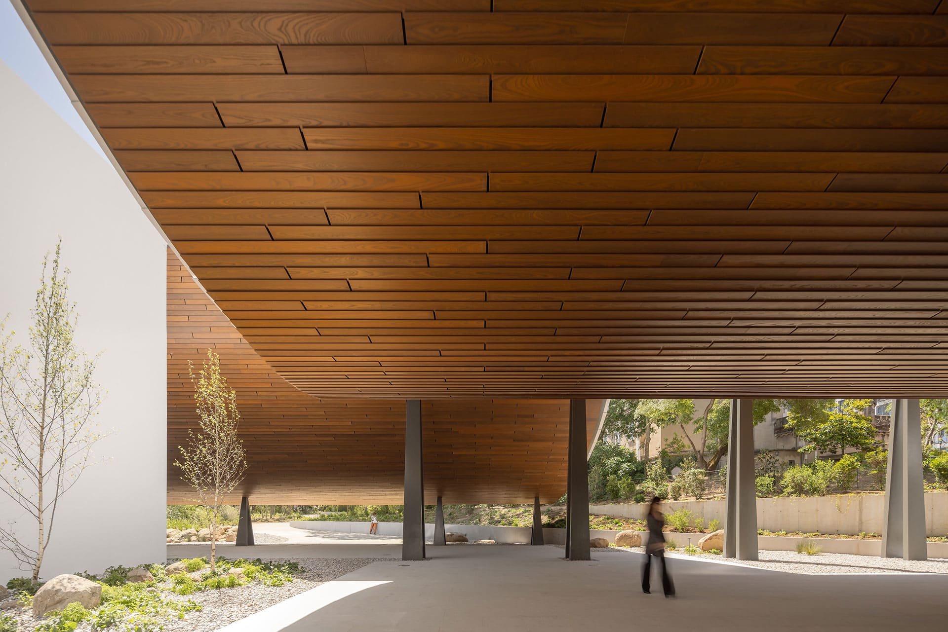 Centro Arte Moderna Gulbenkian, Portugal, Thermory thermo-ash ceiling D4, Architect Kengo Kuma & Associates, Photo Fernando Guerra